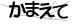 CAPTCHA